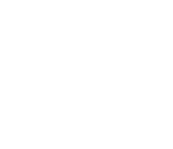 Flash Seeds